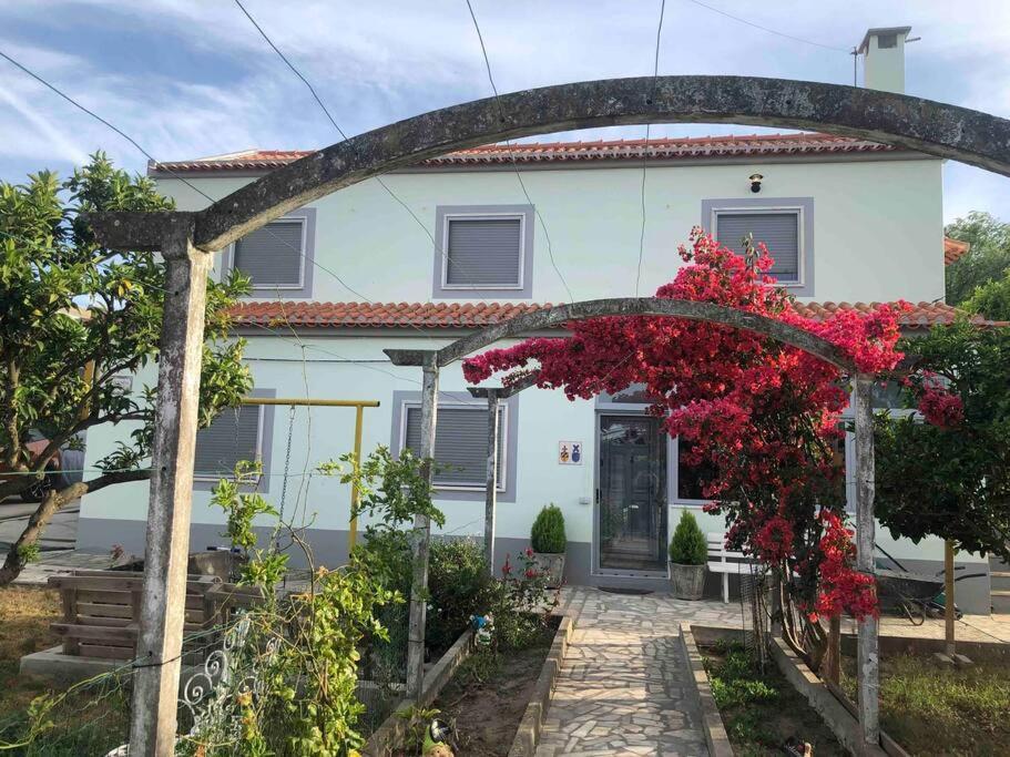 キンタ・ド・アンジョCasa Almenaraアパートメント エクステリア 写真